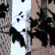 Image for article titled Ex-Twitter Engineer Accuses Twitter of Retaliation for Helping Doomed Coworkers